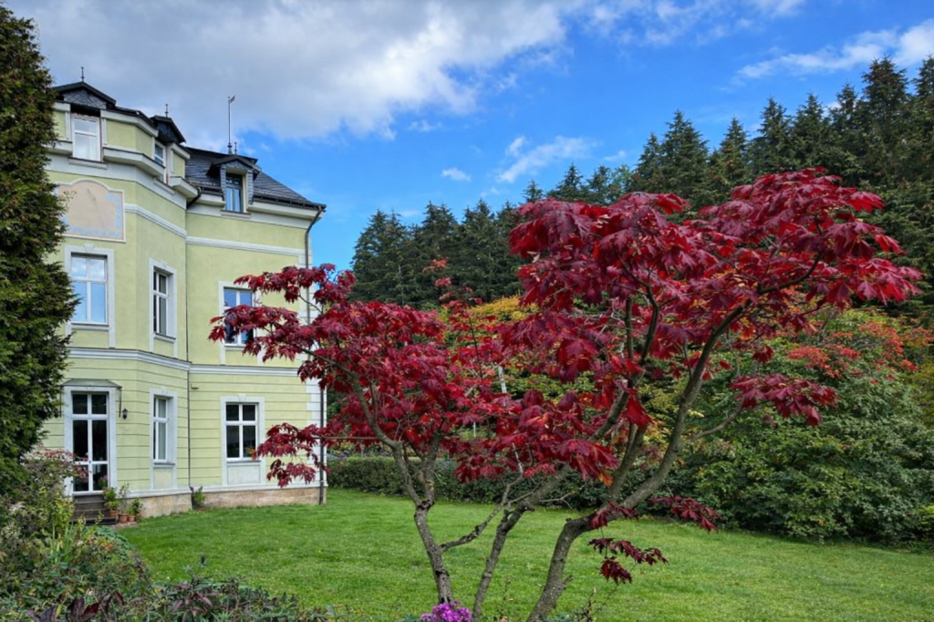 Masáže Julie kontakt